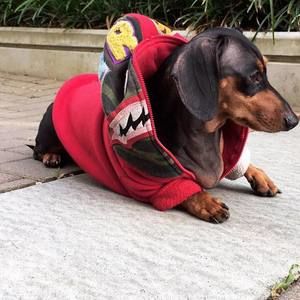 Meet your Posher, Franky